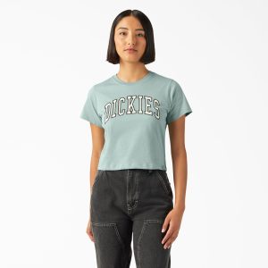 Women's Aitkin Boxy Fit T-Shirt
