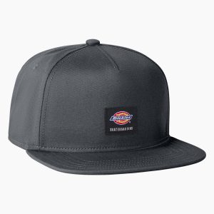 Dickies Skateboarding Mid Pro Cap